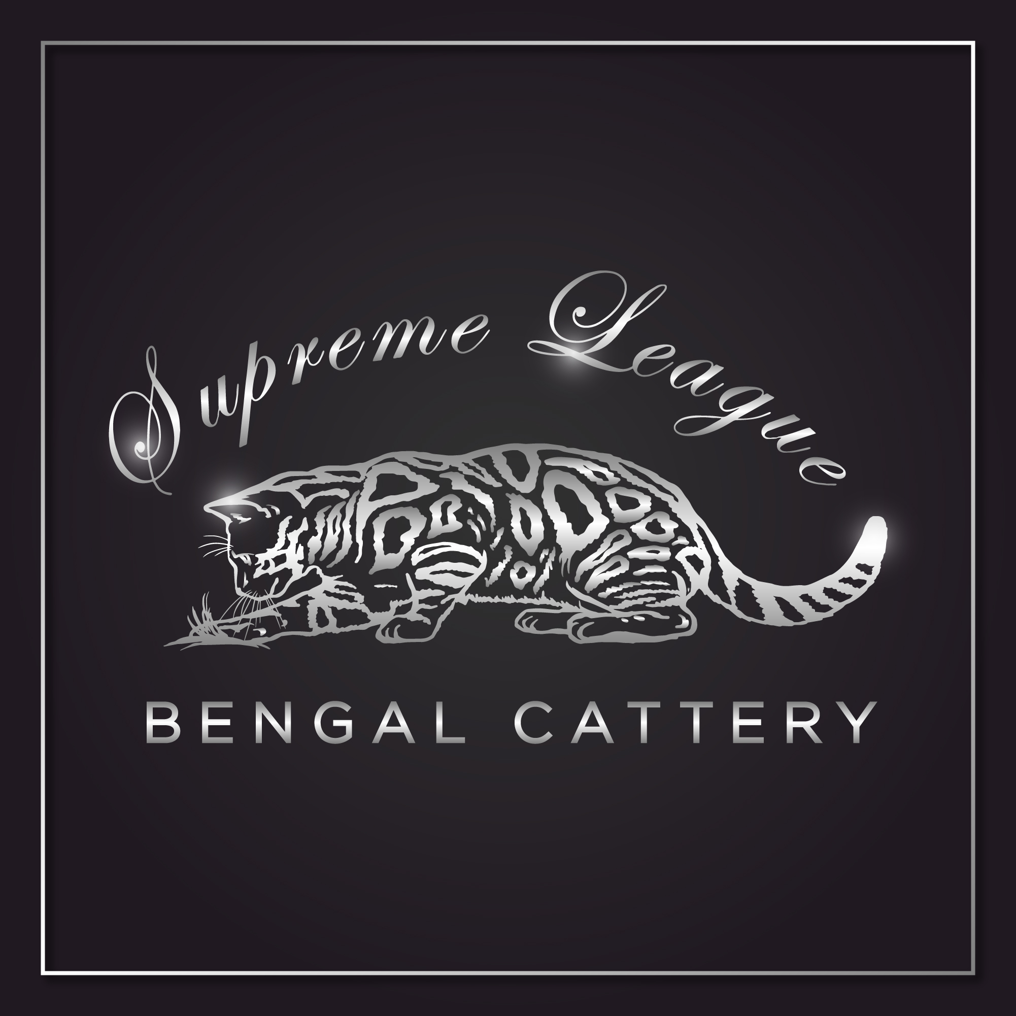 logo bengal cattery order
