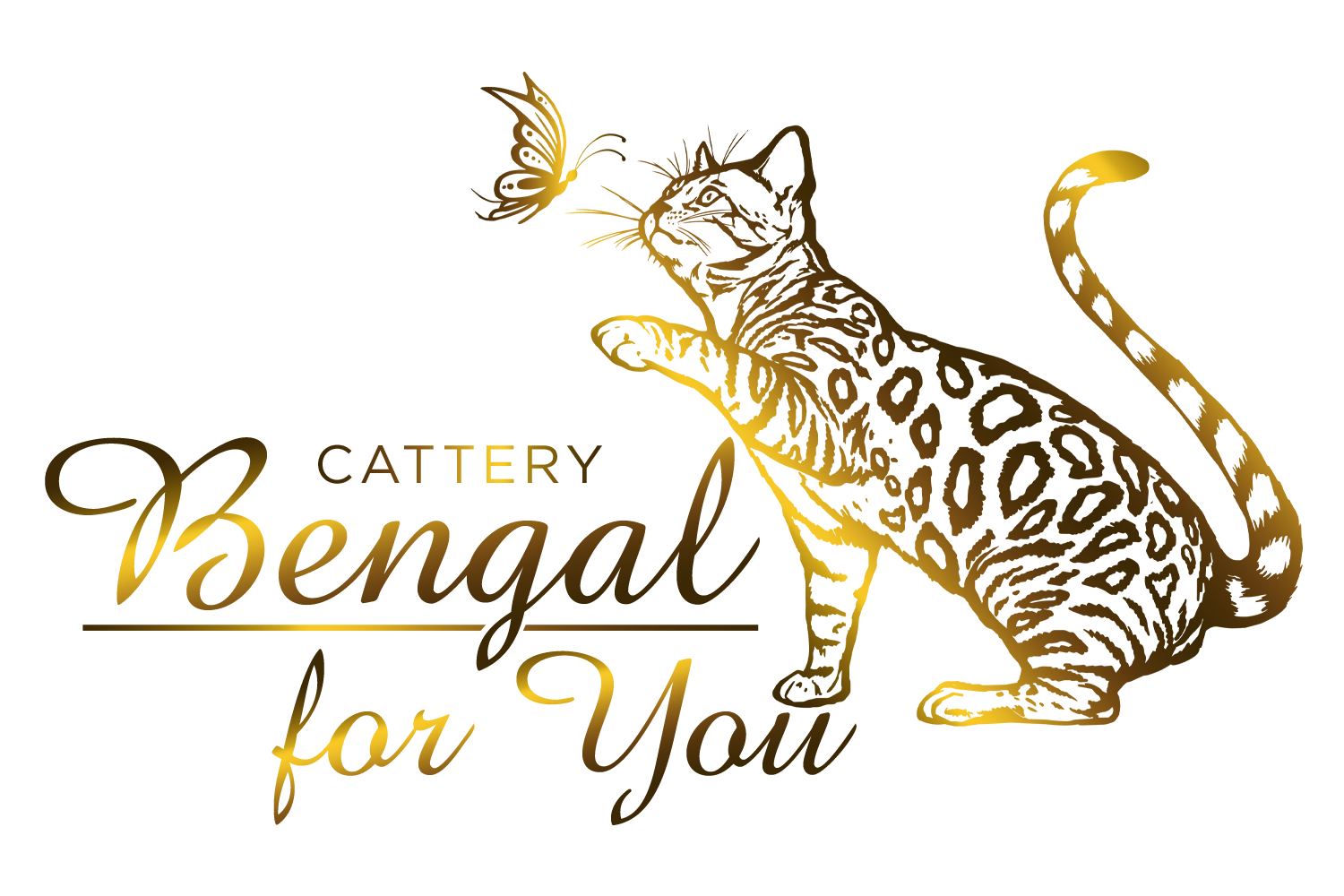 logo cattery bengal