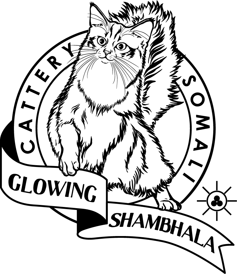 логотип питомник кошек сомали