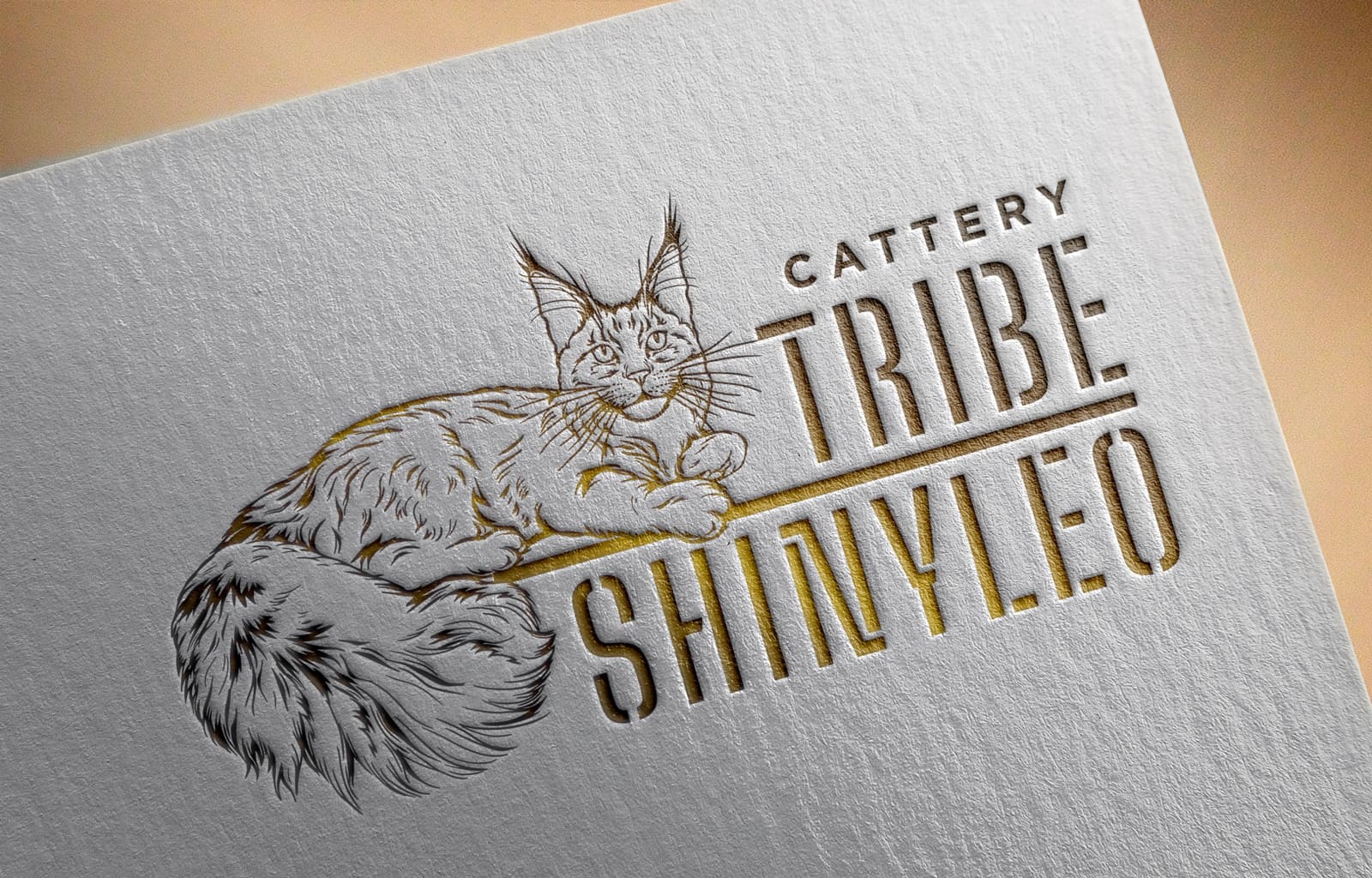 Maine Coon cattery logo